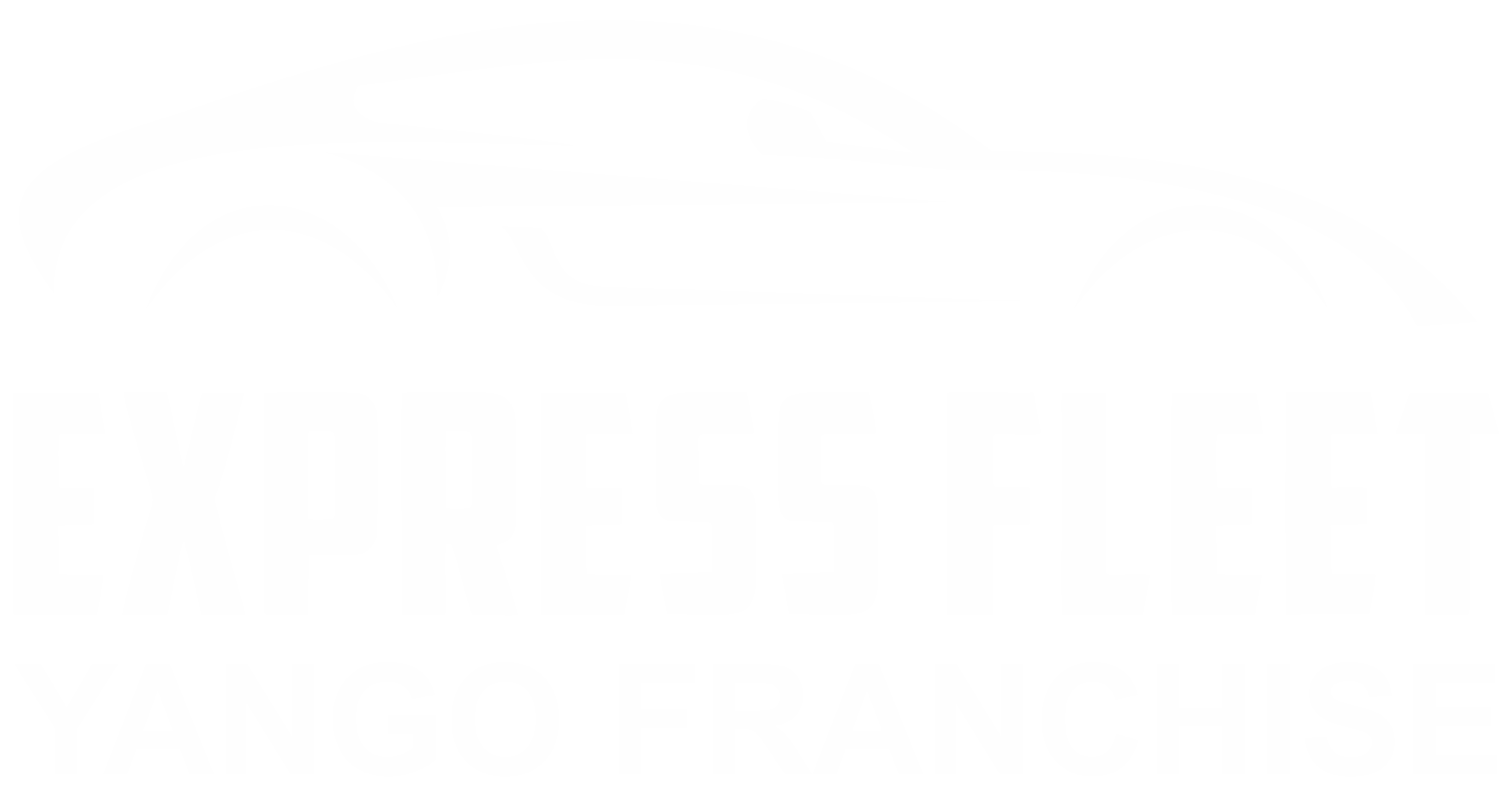 Express Fleet Logo